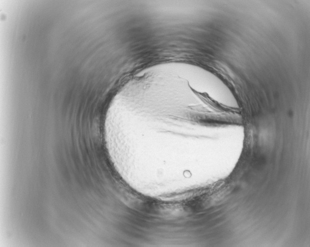 X0000088620377200706221501