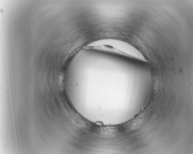 X0000088620378200706221501