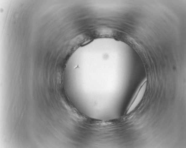 X0000088620379200706221501