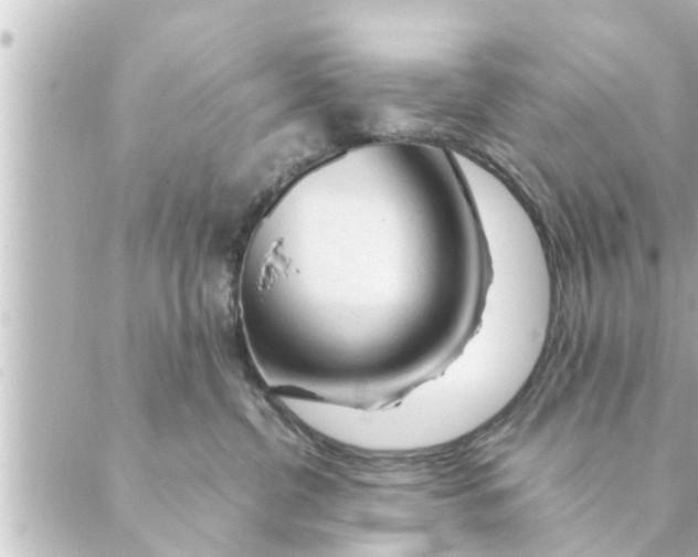 X0000088620380200706221501