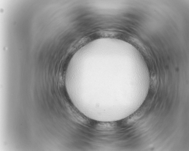 X0000088620381200706221501