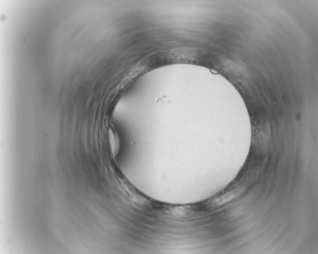 X0000088620382200706221501