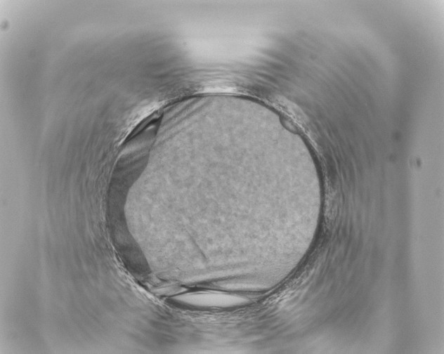 X0000088620385200706221501