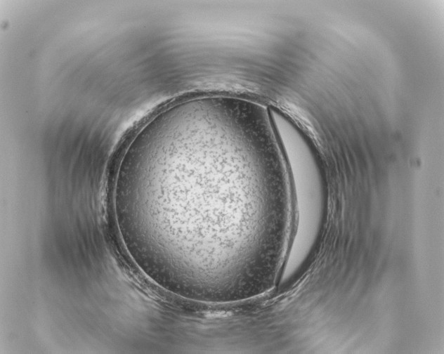 X0000088620388200706221501