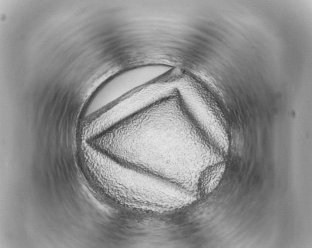 X0000088620390200706221501