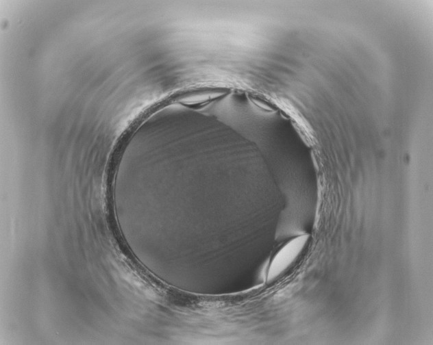 X0000088620391200706221501