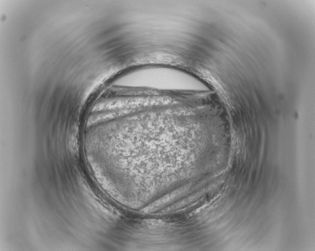 X0000088620392200706221501