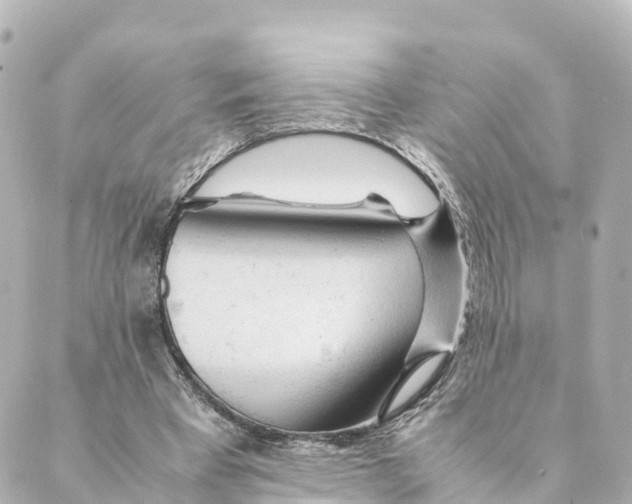 X0000088620393200706221501