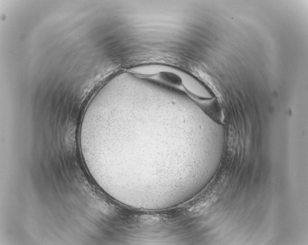 X0000088620394200706221501