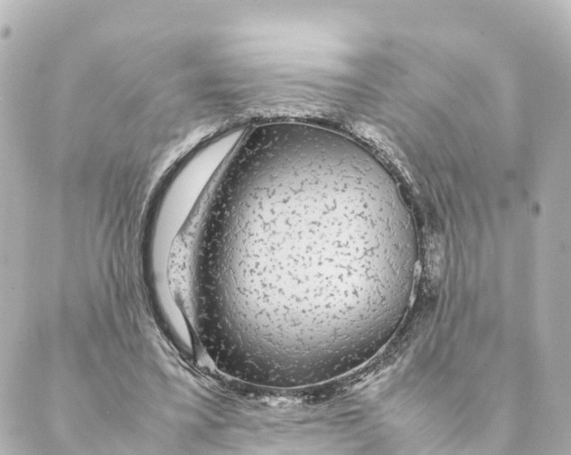 X0000088620395200706221501