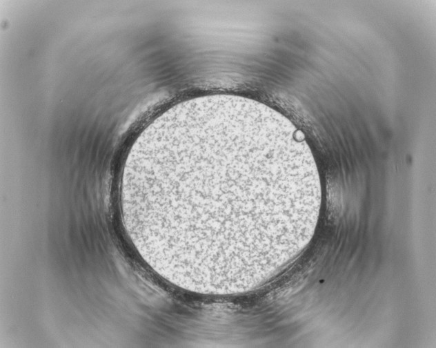 X0000088620396200706221501