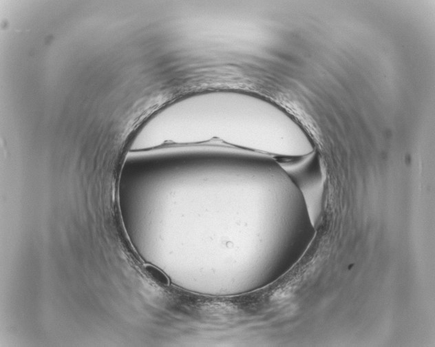 X0000088620397200706221501