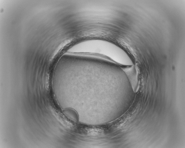 X0000088620400200706221500