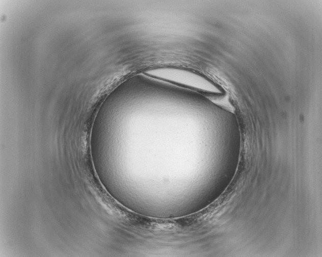 X0000088620401200706221500