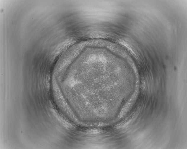 X0000088620402200706221500