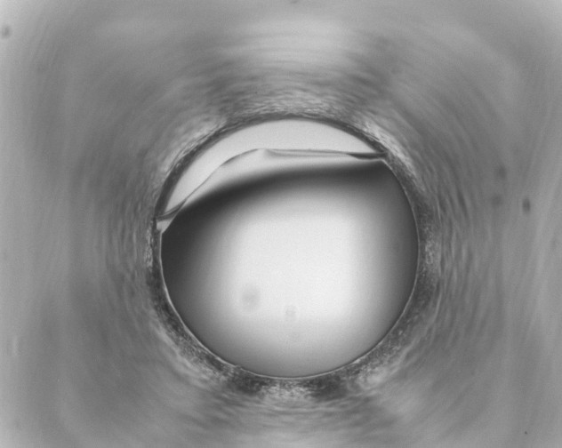 X0000088620403200706221500