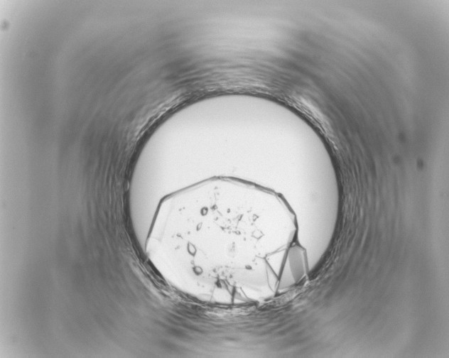 X0000088620405200706221500