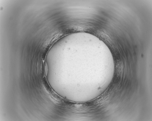 X0000088620406200706221500