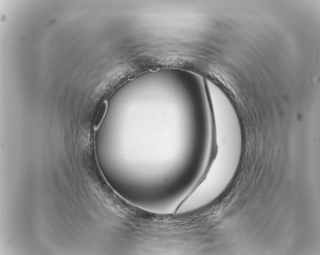 X0000088620407200706221500