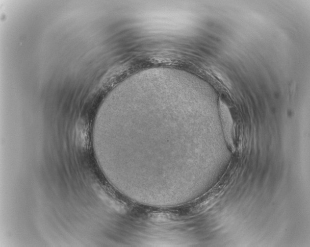 X0000088620408200706221500