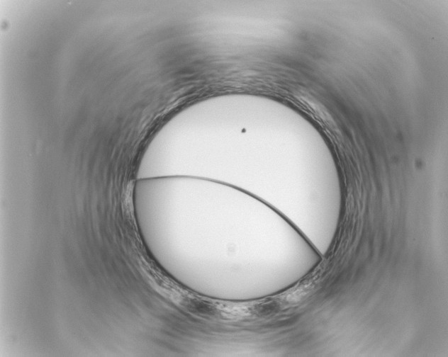 X0000088620409200706221500