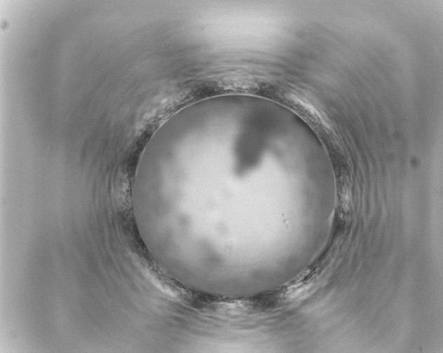 X0000088620411200706221500