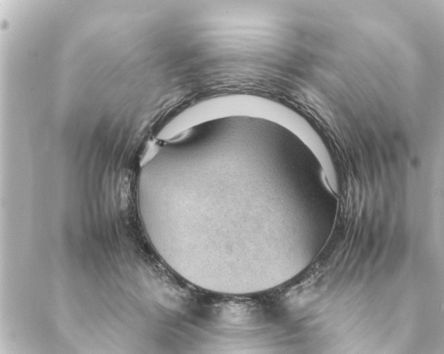 X0000088620412200706221500