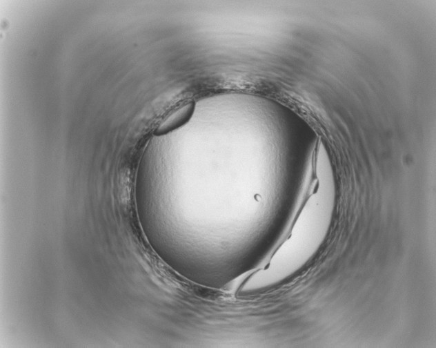 X0000088620413200706221500