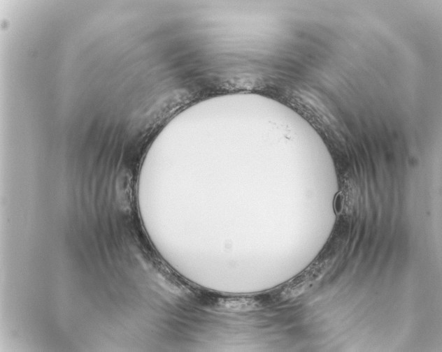 X0000088620414200706221500