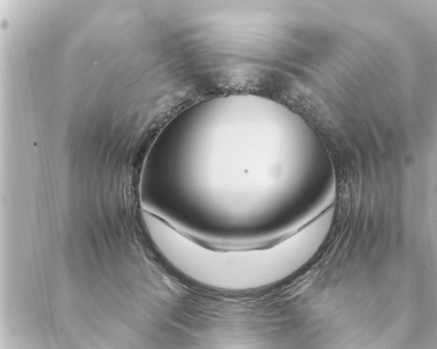 X0000088620416200706221500