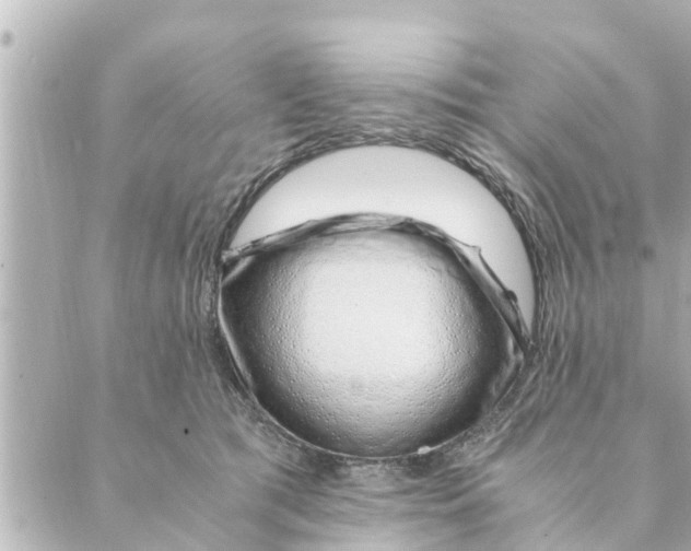 X0000088620417200706221500