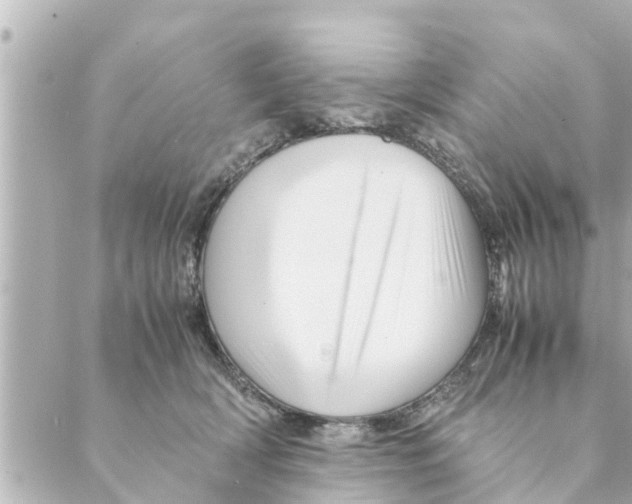 X0000088620418200706221500