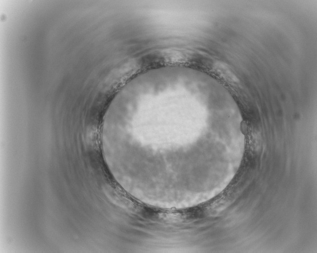 X0000088620419200706221500