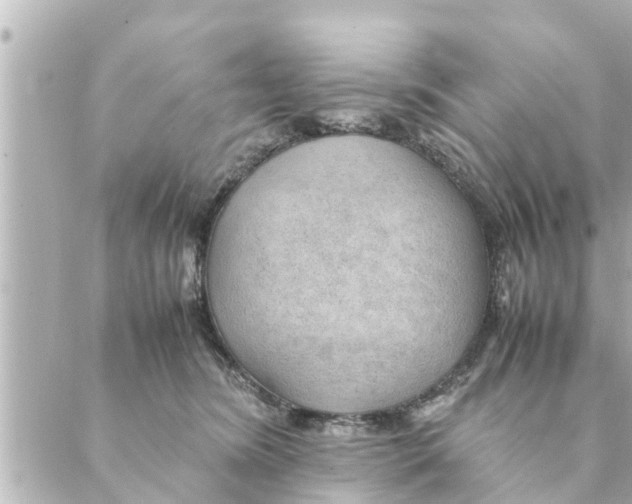 X0000088620420200706221500