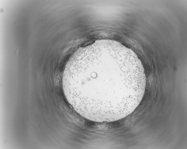 X0000088620423200706221500