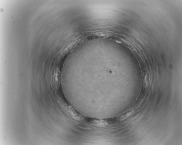 X0000088620424200706221500