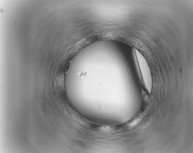 X0000088620425200706221500