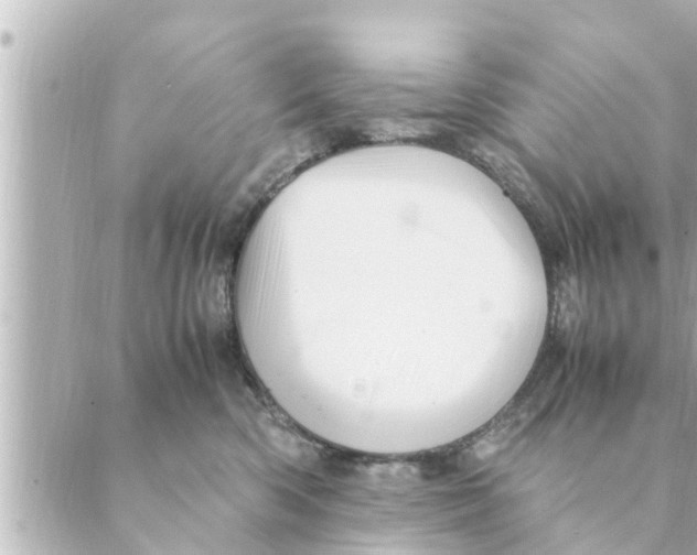 X0000088620426200706221500