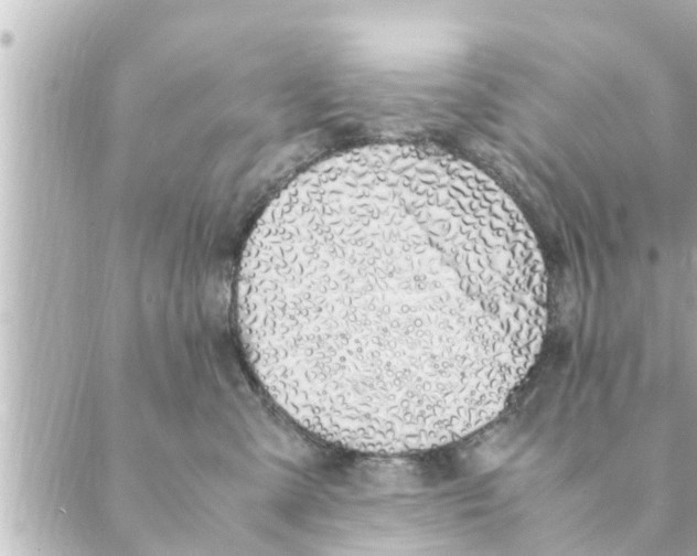 X0000088620427200706221500