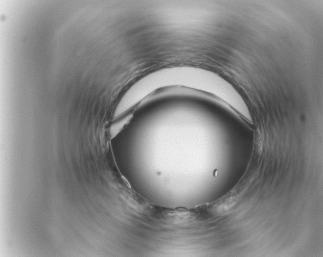 X0000088620428200706221500