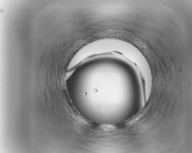 X0000088620429200706221500