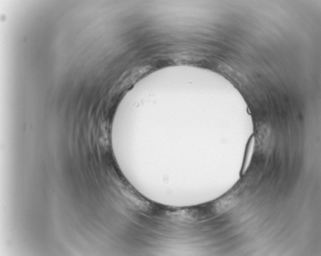 X0000088620430200706221500