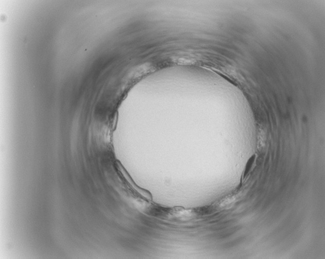 X0000088620431200706221500