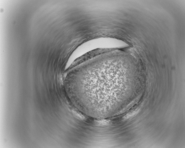 X0000088620432200706221500