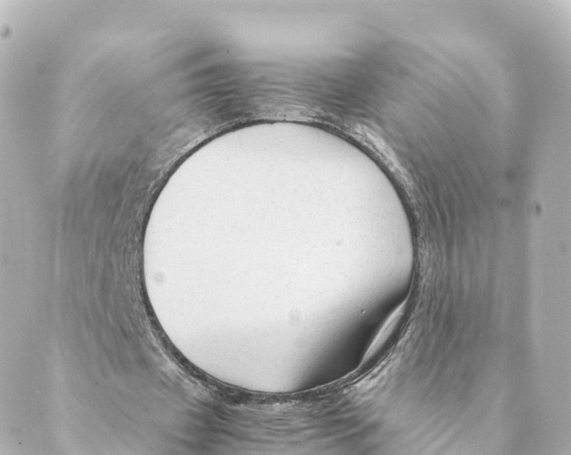 X0000088620433200706221459