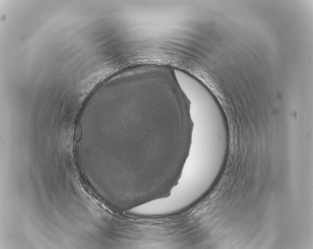 X0000088620434200706221459