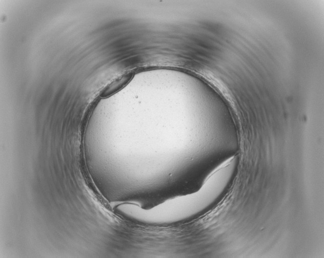 X0000088620437200706221459