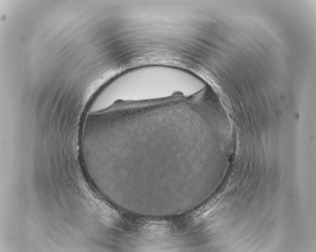 X0000088620438200706221459