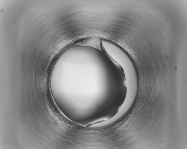 X0000088620440200706221459