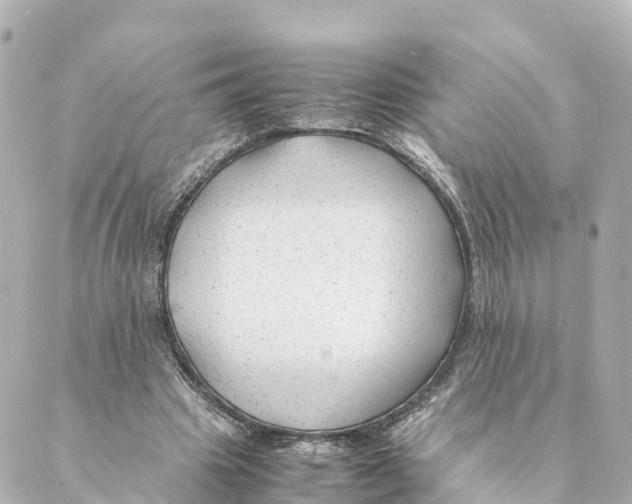 X0000088620441200706221459